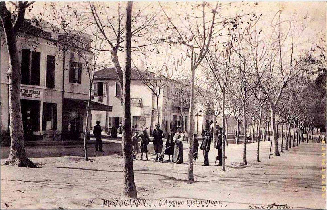 Mostaganem 124.jpg